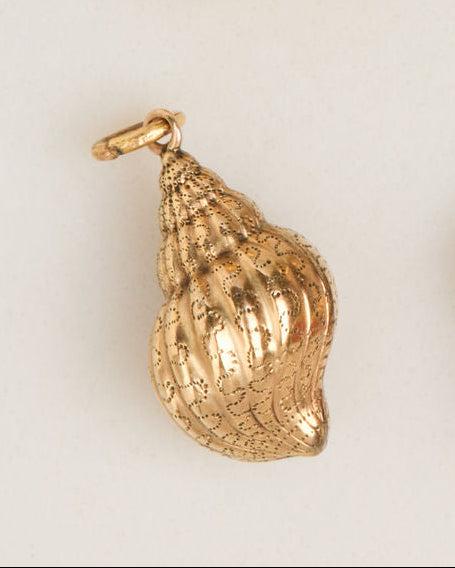Victorian Era Shell Locket